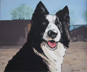 O'Nelly, Border Collie